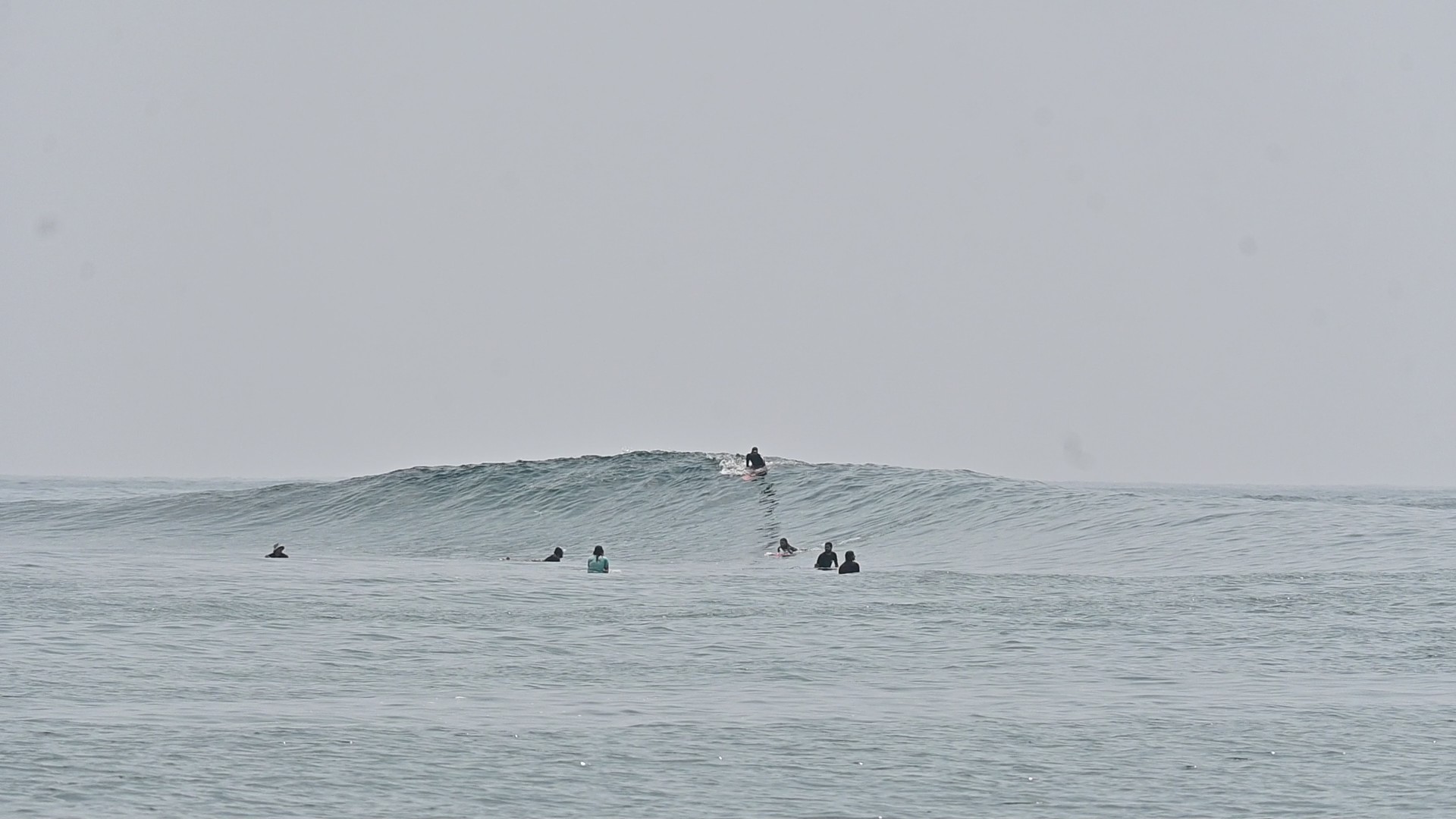 ליינאפ ריק באנדמן
